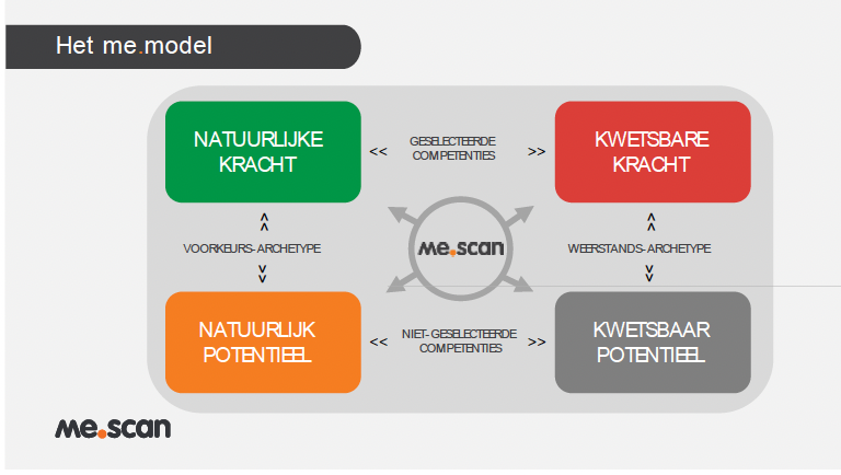 Odin Development Compass voorbeeld